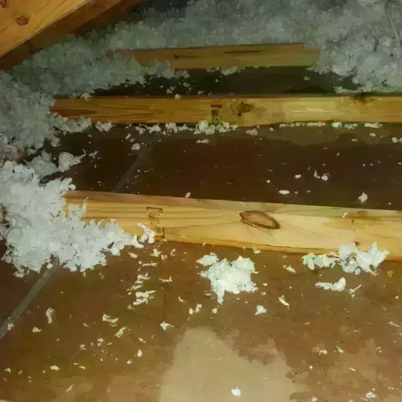 Attic Water Damage in Jefferson County, TX