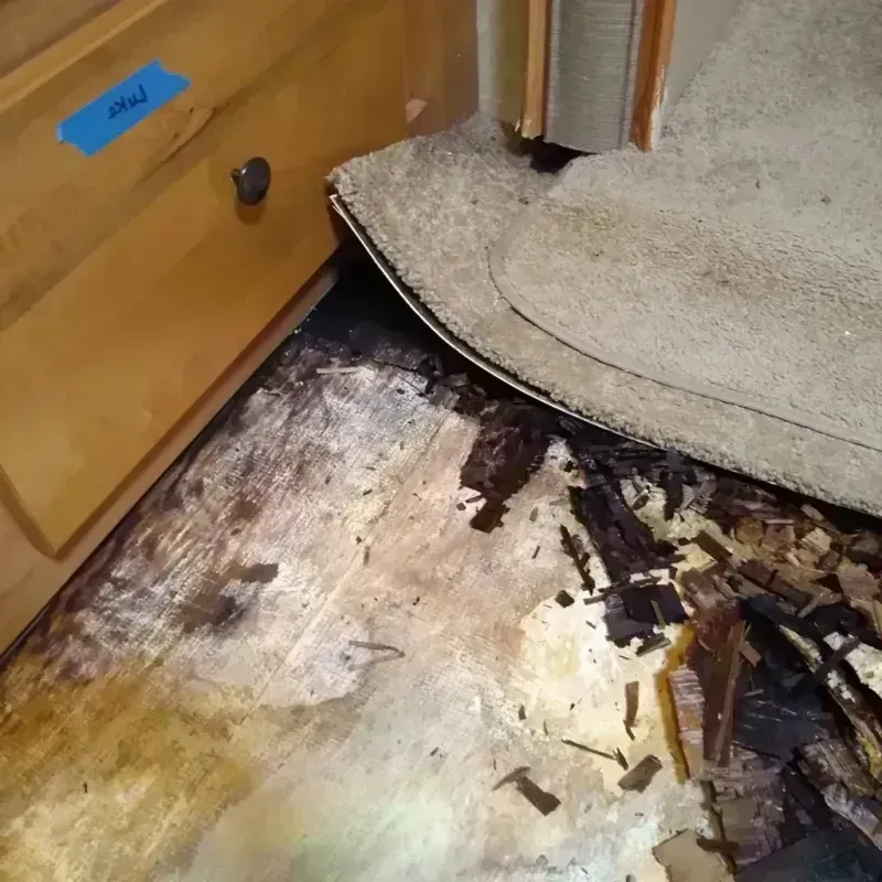 Wood Floor Water Damage in Jefferson County, TX